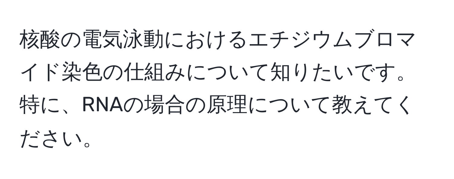 核酸の電気泳動におけるエチジウムブロマイド染色の仕組みについて知りたいです。特に、RNAの場合の原理について教えてください。