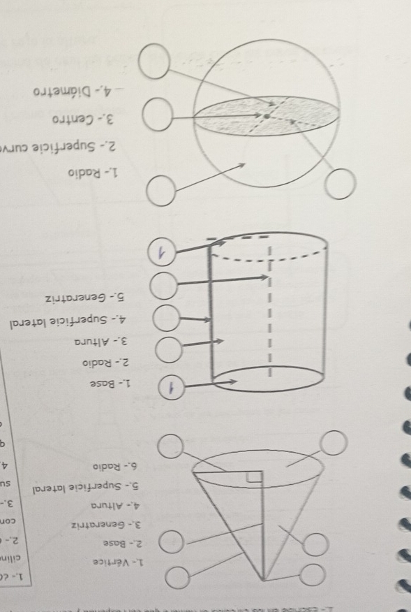 1.- ८( 
.- Vértice cilin 
.- Base 2.- 
3.- Generatriz cor 
4.- Altura 
3. 
5.- Superficie lateral 
su 
6.- Radio 4 
a 
1.- Base 
2.- Radio 
3.- Altura 
4.- Superficie lateral 
5.- Generatriz 
1.- Radio 
2.- Superficie curv 
3.- Centro 
4.- Diámetro