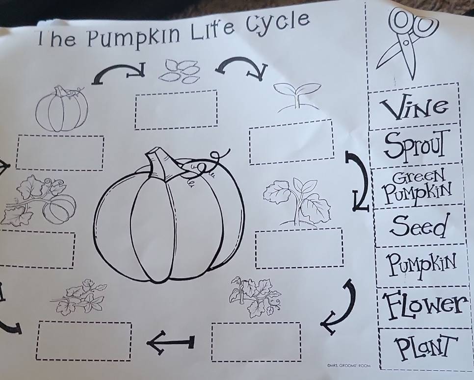 The Pumpkın Lite Cycle