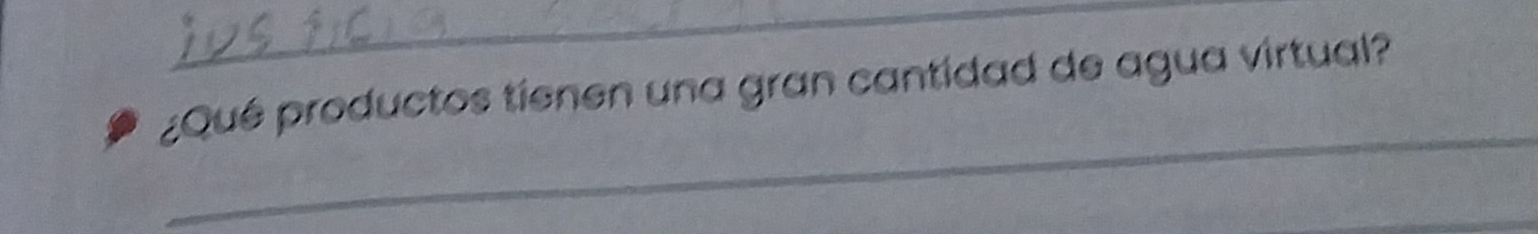 ¿Qué productos tienen una gran cantidad de agua virtual? 
_