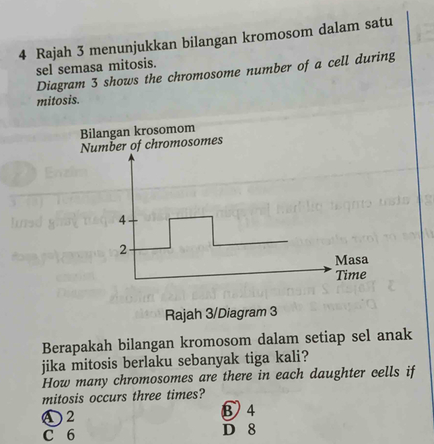 Rajah 3 menunjukkan bilangan kromosom dalam satu
sel semasa mitosis.
Diagram 3 shows the chromosome number of a cell during
mitosis.
Bilangan krosomom
Number of chromosomes
4
2
Masa
Time
Rajah 3/Diagram 3
Berapakah bilangan kromosom dalam setiap sel anak
jika mitosis berlaku sebanyak tiga kali?
How many chromosomes are there in each daughter cells if
mitosis occurs three times?
④ 2
⑬ 4
C 6 D 8