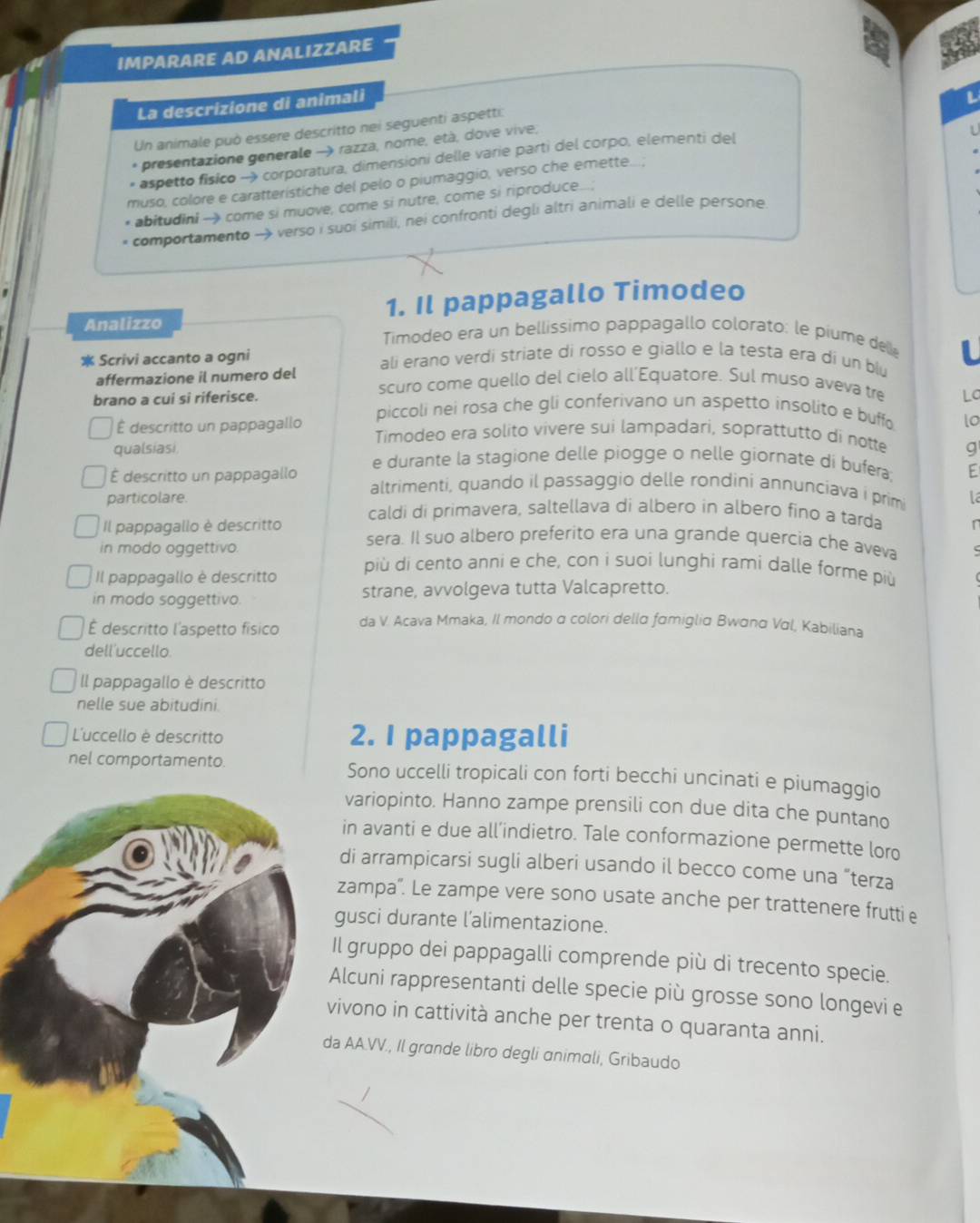 IMPARARE AD ANALIZZARE
La descrizione di animali
Un animale può essere descritto nei seguenti aspetti:
* presentazione generale → razza, nome, età, dove vive,
aspetto fisico → corporatura, dimensioni delle varie parti del corpo, elementi del
muso, colore e caratteristiche del pelo o piumaggio, verso che emette....;
* abitudini →) come si muove, come si nutre, come si riproduce....;
* comportamento → verso i suoi simili, nei confronti degli altri animali e delle persone
1. Il pappagallo Timodeo
Analizzo Timodeo era un bellissimo pappagallo colorato: le piume delle
* Scrivi accanto a ogni ali erano verdi striate di rosso e giallo e la testa era di un blu
affermazione il numero del scuro come quello del cielo all’Equatore. Sul muso aveva tre
brano a cui si riferisce. La
piccoli nei rosa che gli conferivano un aspetto insolito e buff lo
É descritto un pappagallo Timodeo era solito vivere sui lampadari, soprattutto di notte g
qualsiasi e durante la stagione delle piogge o nelle giornate di bufera E
É descritto un pappagallo altrimenti, quando il passaggio delle rondini annunciava i primi
particolare. la
caldi di primavera, saltellava di albero in albero fino a tarda r
Il pappagallo è descritto sera. Il suo albero preferito era una grande quercia che aveva
in modo oggettivo. più di cento anni e che, con i suoi lunghi rami dalle forme più
Il pappagallo è descritto
in modo soggettivo. strane, avvolgeva tutta Valcapretto.
É descritto l'aspetto físico da V. Acava Mmaka, Il mondo α colori della famiglia Bwαnα Vαl, Kabiliana
dell'uccello.
Il pappagallo è descritto
nelle sue abitudini.
L'uccello è descritto 2. I pappagalli
nel comportamento. Sono uccelli tropicali con forti becchi uncinati e piumaggio
variopinto. Hanno zampe prensili con due dita che puntano
in avanti e due all’indietro. Tale conformazione permette loro
di arrampicarsi sugli alberi usando il becco come una “terza
zampa'. Le zampe vere sono usate anche per trattenere frutti e
gusci durante l’alimentazione.
Il gruppo dei pappagalli comprende più di trecento specie.
Alcuni rappresentanti delle specie più grosse sono longevi e
vivono in cattività anche per trenta o quaranta anni.
da AA.VV., Il grande libro degli animali, Gribaudo