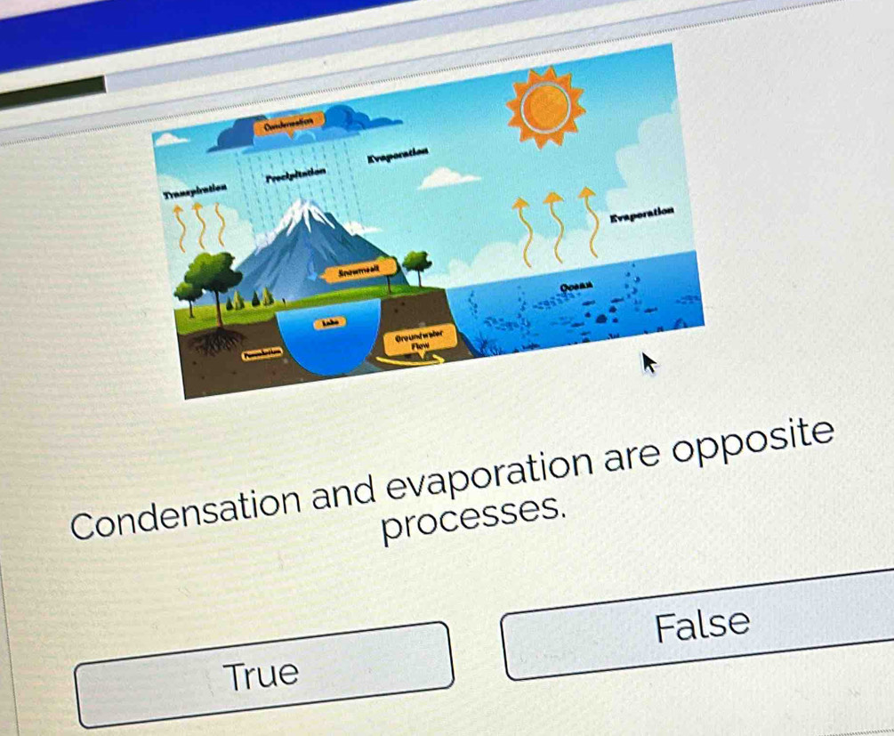 Condensation and evaporation are opposite
processes.
False
True