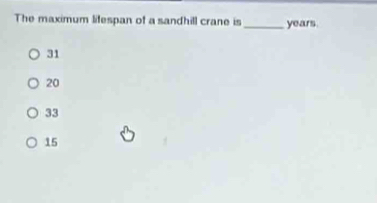 The maximum lifespan of a sandhill crane is _ years
31
20
33
15