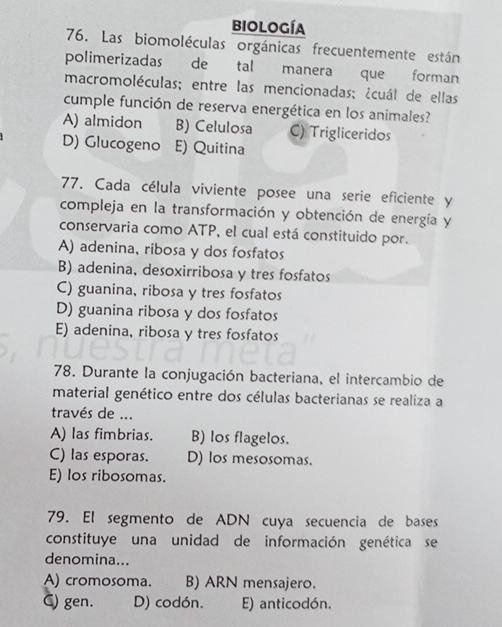 biología
76. Las biomoléculas orgánicas frecuentemente están
polimerizadas de tal manera que forman
macromoléculas; entre las mencionadas; ¿cuál de ellas
cumple función de reserva energética en los animales?
A) almidon B) Celulosa C) Trigliceridos
D) Glucogeno E) Quitina
77. Cada célula viviente posee una serie eficiente y
compleja en la transformación y obtención de energía y
conservaria como ATP, el cual está constituido por.
A) adenina, ribosa y dos fosfatos
B) adenina, desoxirribosa y tres fosfatos
C) guanina, ribosa y tres fosfatos
D) guanina ribosa y dos fosfatos
E) adenina, ribosa y tres fosfatos
78. Durante la conjugación bacteriana, el intercambio de
material genético entre dos células bacterianas se realiza a
través de ...
A) las fimbrias. B) los flagelos.
C) las esporas. D) los mesosomas.
E) los ribosomas.
79. El segmento de ADN cuya secuencia de bases
constituye una unidad de información genética se
denomina...
A) cromosoma. B) ARN mensajero.
C) gen. D) codón. E) anticodón.