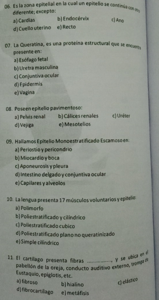 Es la zona epitelial en la cual un epitelio se continúa con otra
diferente; excepto:
a) Cardias b) Endocérvix c) Ano
d) Cuello uterino e) Recto
07. La Queratina, es una proteína estructural que se encuentra
presente en:
a) Esófago fetal
b) Uretra masculina
c) Conjuntiva ocular
d) Epidermis
e) Vagina
08. Poseen epitelio pavimentoso:
a) Pelvis renal b) Cálices renales c) Uréter
d) Vejiga e) Mesotelios
09. Hallamos Epitelio Monoestratificado Escamoso en:
a) Periostio y pericondrio
b)Miocardio y boca
c) Aponeurosis y pleura
d) Intestino delgado y conjuntiva ocular
e) Capilares y alveolos
10. La lengua presenta 17 músculos voluntarios y epitelio:
a) Polimorfo
b) Poliestratificado y cilíndrico
c) Poliestratificado cubico
d) Poliestratificado plano no queratinizado
e) Simple cilíndrico
11. El cartílago presenta fibras _ y se ubica en el
pabellón de la oreja, conducto auditivo externo, trompa de
Eustaquio, epiglotis, etc.
a) fibroso b) hialino
c) elástico
d) fibrocartílago e) metáfisis