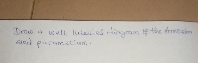 Solved: Draw a well labelled diagram of the Amoeba and paramecicm ...