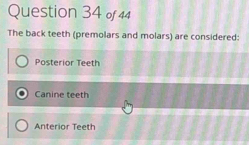 The back teeth (premolars and molars) are considered:
Posterior Teeth
Canine teeth
Anterior Teeth