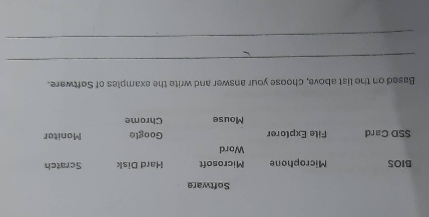 Software
BIOS Microphone Microsoft Hard Disk Scratch
Word
SSD Card File Explorer Google Monitor
Mouse Chrome
Based on the list above, choose your answer and write the examples of Software.
_
_