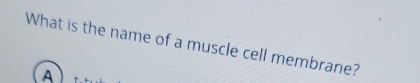 What is the name of a muscle cell membrane? 
A