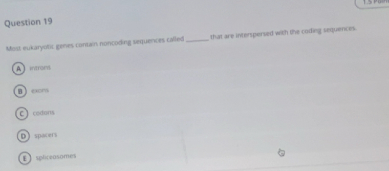 Most eukaryotic genes contain noncoding sequences called_ that are interspersed with the coding sequences.
A introns
B exons
C codons
Dspacers
E spliceosomes