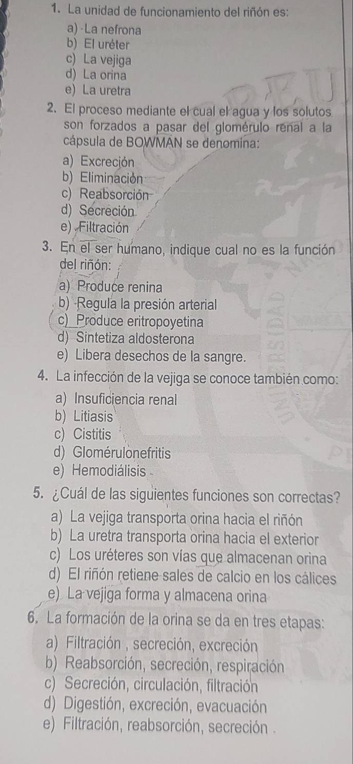 La unidad de funcionamiento del riñón es:
a)-La nefrona
b) El uréter
c) La vejiga
d) La orina
e) La uretra
2. El proceso mediante el cual el agua y los solutos
son forzados a pasar del glomérulo renal a la
cápsula de BOWMÁN se denomina:
a) Excreción
b) Eliminación
c) Reabsorción
d) Secreción
e) Filtración
3. En el ser humano, indique cual no es la función
del riñón:
a) Produce renina
b) Regula la presión arterial
c)_Produce eritropoyetina
d) Sintetiza aldosterona
e) Libera desechos de la sangre.
4. La infección de la vejiga se conoce también como:
a) Insuficiencia renal
b) Litiasis
c) Cistitis
d) Glomérulonefritis
e) Hemodiálisis
5. ¿Cuál de las siguientes funciones son correctas?
a) La vejiga transporta orina hacia el riñón
b) La uretra transporta orina hacia el exterior
c) Los uréteres son vías que almacenan orina
d) El riñón retiene sales de calcio en los cálices
e) La vejiga forma y almacena orina
6. La formación de la orina se da en tres etapas:
a) Filtración , secreción, excreción
b) Reabsorción, secreción, respiración
c) Secreción, circulación, filtración
d) Digestión, excreción, evacuación
e) Filtración, reabsorción, secreción .