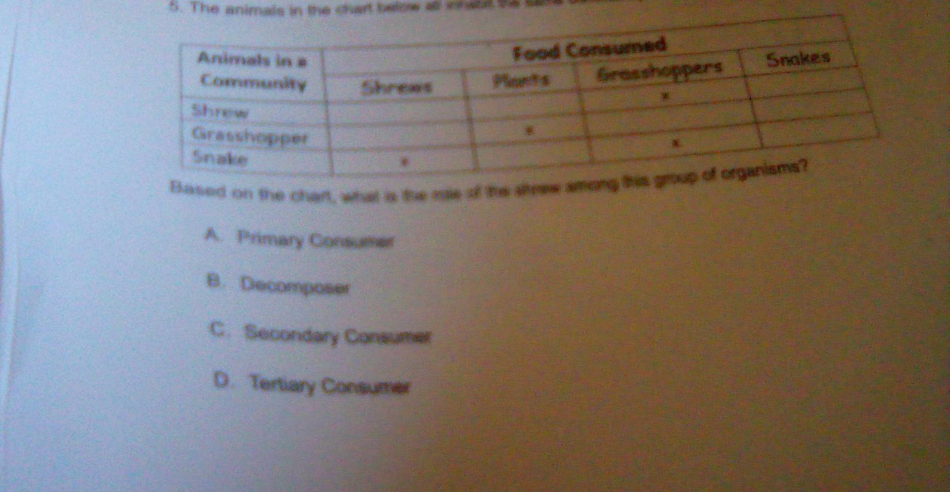 The animals in the chart below at is aba ba
Based on the chart, what is the rue of the sltrew
A. Primary Consumer
B. Decomposer
C. Secondary Consumer
D. Tertiary Consumer