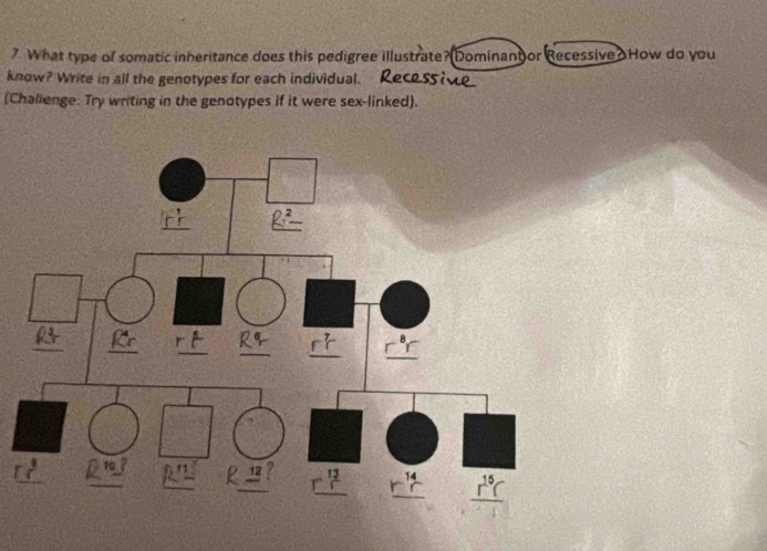 What type of somatic inheritance does this pedigree illustrate?(Dominant or Recessive How do you
know? Write in all the genotypes for each individual. Re
(Chalienge: Try writing in the genotypes if it were sex-linked).