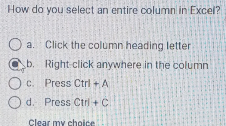 How do you select an entire column in Excel?
a. Click the column heading letter
b. Right-click anywhere in the column
c. Press Ctrl+A
d. Press Ctrl+C
Clear mv choice