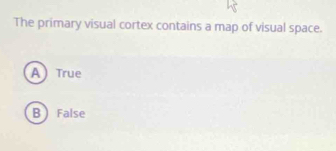 The primary visual cortex contains a map of visual space.
A True
B False