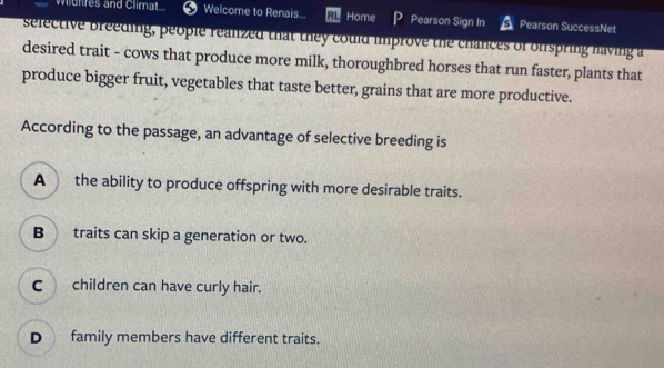 Wildnres and Climat... ⑤ Welcome to Renais... At Home Pearson Sign In Pearson SuccessNet
selective breeding, people reanzed that they could improve the chances of ofspring having a
desired trait - cows that produce more milk, thoroughbred horses that run faster, plants that
produce bigger fruit, vegetables that taste better, grains that are more productive.
According to the passage, an advantage of selective breeding is
A the ability to produce offspring with more desirable traits.
B traits can skip a generation or two.
C children can have curly hair.
D family members have different traits.