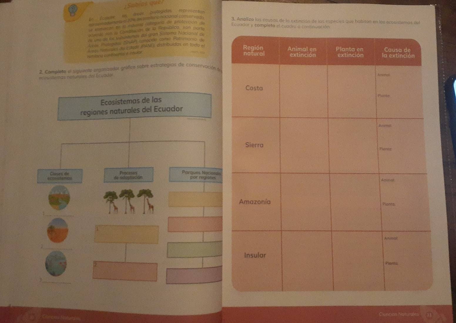 Sabías quel 
En Écante ias áreas biotegidas represento 
naroy madoment al 2016 my temíero ncicionial conservado. 3. Analiza los causas de la extinción de las espécies que habitan en los ecosistemos del 
se enpoican en la masssia categaría de protección de Ecuador y completo el cuadro a 
acuerdó con la Combitución de la República, son parte 
de ure de le supustemas del gran Sistema Nacional de 
Áeas Pratrpdas (ShAP) conopido comá Patrimonio de 
Áleas Nonuales del Estado (PANE), distribuídas en toda el 
cemfária condinental e insular. 
2. Completo el siguiente organizador gráfico sobre estrategias de conservación dn 
acouisteras naturales del Ecuador 
Ecosistemas de las 
regiones naturales del Ecuador 
Closes de Proceses Parques Naciones 
ecos stemas de adaptación por regiones 
_ 
2 
7 
Ciencias Naturales