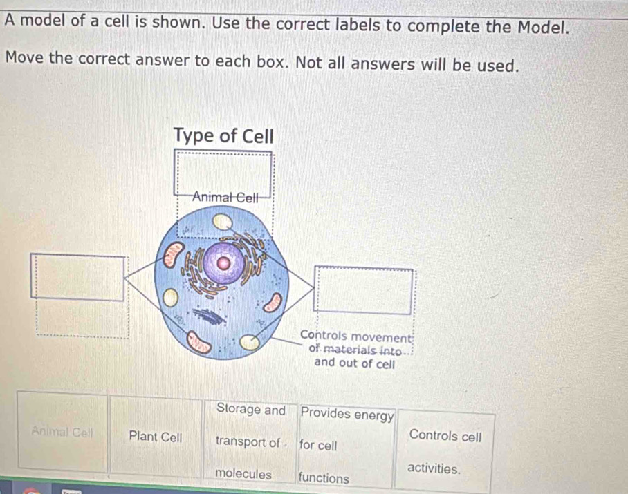 Solved: A model of a cell is shown. Use the correct labels to complete ...