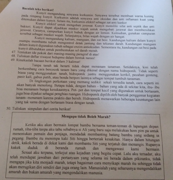 Bacalah teks berikut!
Kunyit mengandung senyawa kurkumin. Senyawa tersebut membuat warna kuning
pada rimpang kunyit. Kurkumin adalah senyawa anti oksidan dan anti inflamasi kuat yang
ditemukan dalam kunyit. Selain itu, kurkumin efektif sebagai zat anti kanker
Kunyit efektif untuk mengobati jerawat. Kunyit memiliki sifat anti septik dan anti
bakteri. Kunyit dapat dijadikan masker wajah untuk mengobati jerawat dan membersihkan
jerawat. Caranya, campurkan kunyit bubuk dengan air lemon. Kemudian, gunakan campuran
tersebut sebagai masker wajah. Selanjutnya, bilas wajah dengan air hangat
Kunyit mengandung kalium, mangaan, dan zat besi. Kandungan kalium dalam kunyit
mampu membantu tubuh mengontrol detak jantung dan tekanan darah. Kandungan mangaan
dalam kunyit digunakan tubuh sebagai enzim antioksidan. Sementara itu, kandungan zat besi pada
kunyit dibutuhkan untuk pembentukan sel darah merah.
47. Tentukan ide pokok dari masing-masing paragraf di atas!
48. Tuliskan daftar riwayat hidupmu dalam bentuk narasi
49. Ringkaslah bacaan berikut dalam 3 kalimat!
Tanpa tanah tak berarti tidak dapat menanam tanaman. Setidaknya, kini telah
berkembang cara bercocok tanam baru yang dikenal dengan nama hidroponik. Tidak seperti
biasa yang menggunakan tanah, hidroponik justru menggunakan kerikil, pecahan genteng,
pasir kali, gabus putih, atau benda berpori lainnya sebagai tempat tumbuh tanaman.
Di lingkungan perkotaan yang memang sedikit sekali tersedia tanah, cara seperti ini
akan banyak menolong. Betapa tidak, dengan bahan - bahan yang ada di sekitar kita, ibu- ibu
bisa menanam bunga kesukaannya. Pot- pot dan tempat kecil yang digunakan untuk bertanam,
juga bisa dipakai sebagai penghias ruangan. Hidroponik dipilih oleh banyak penggemar kegiatan
tanam- menanam karena praktis dan bersih. Hidroponik menawarkan beberapa keuntungan lain
yang tak sama dengan bertanam biasa dengan tanah.
50. Tuliskan simpulan dari cerita berikut!
Mengapa tidak Boleh Marah?
Ketika aku akan bermain lompat bambu bersama teman-teman di lapangan depan
rumah, tiba-tiba tanpa aku tahu sebabnya si Ali yang baru saja melakukan hom pim pa untuk
menentukan pemain dan penjaga, mendadak membanting batang bambu yang sedang ia
pegang. Bambu itu menimpa kaki Siti hingga berteriak kesakitan. Hanya dalam hitungan
detik, kakek berada di dekat kami dan membantu Siti yang terjatuh dan menangis. Rupanya
kakek duduk di beranda rumah dan mengawasi kami bermain.
Sesaat aku terpana, terkejut atas kejadian yang begitu cepat. Lalu aku tersadar, aku
telah mendapat jawaban dari pertanyaan yang selama ini berada dalam pikiranku, tidak
mengapa jika kita menjadi marah, tetapi bagaiman cara menyikapi marah itu sehingga tidak
akan merugikan diri sendiri dan juga orang lain. Manusialah yang seharusnya mengendalikan
amarah dan bukan amarah yang mengendalikan manusia.