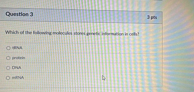 Which of the following molecules stores genetic information in cells?
tRNA
protein
DNA
mRNA