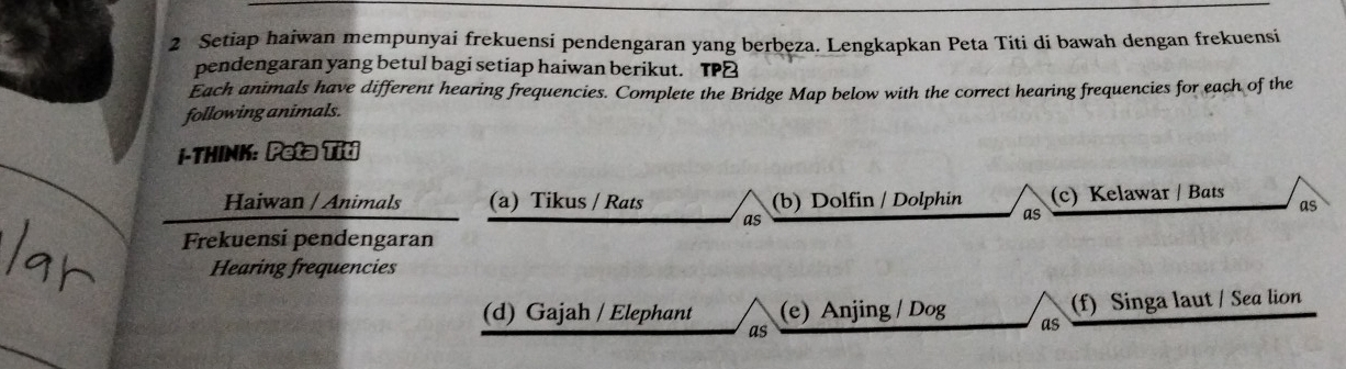 Setiap haiwan mempunyai frekuensi pendengaran yang berbeza. Lengkapkan Peta Titi di bawah dengan frekuensi 
pendengaran yang betul bagi setiap haiwan berikut. TP≌ 
Each animals have different hearing frequencies. Complete the Bridge Map below with the correct hearing frequencies for each of the 
following animals. 
i-THINK: Peta Titi 
Haiwan / Animals (a) Tikus / Rats (b) Dolfin / Dolphin (c) Kelawar / Bats 
as 
as 
as 
Frekuensi pendengaran 
Hearing frequencies 
(d) Gajah / Elephant (e) Anjing / Dog as (f) Singa laut / Sea lion 
as