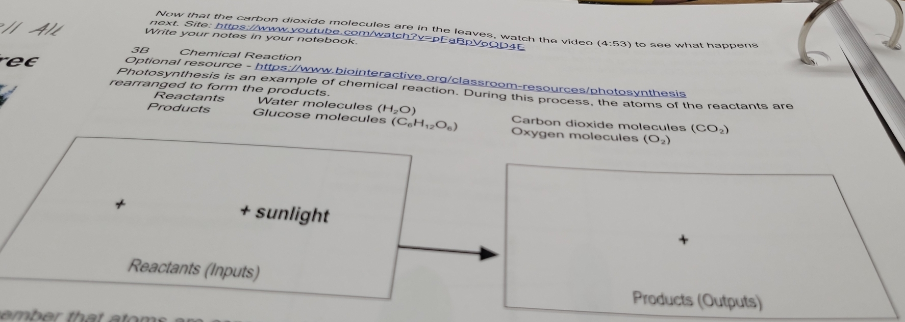 Now that the carbon dioxide molecules are in the leaves, watch the video (4:53) )to see what happens 
/I Al Write your notes in your notebook. 
next. Site: https://www.youtube.com/watch?v=pFaBpVoQD4E 
3B Chemical Reaction 
Optional resource - https://www.biointeractive.org/classroom-resources/photosynthesis 
rearranged to form the products. 
Photosynthesis is an example of chemical reaction. During this process, the atoms of the reactants are 
Reactants Water molecules (H_2O)
Products Glucose molecules (C_6H_12O_6)
Carbon dioxide molecules (CO_2)
Oxygen molecules (O_2)
* + sunlight 
Reactants (Inputs) 
Products (Outputs) 
mb th a a r