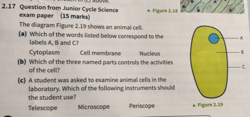 above.
2.17 Question from Junior Cycle Science Figure 2.18
exam paper (15 marks)
The diagram Figure 2.19 shows an animal cell.
(a) Which of the words listed below correspond to the
labels A, B and C?
Cytoplasm Cell membrane Nucleus
(b) Which of the three named parts controls the activities
of the cell?
(c) A student was asked to examine animal cells in the
laboratory. Which of the following instruments should
the student use?
Telescope Microscope Periscope