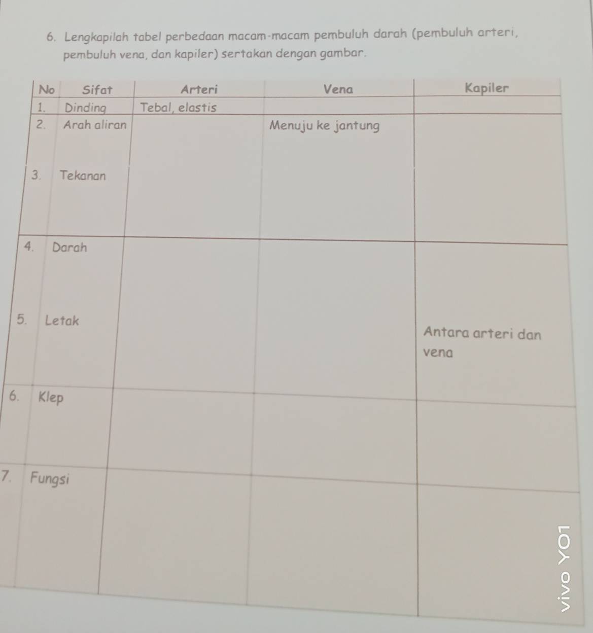 Lengkapilah tabel perbedaan macam-macam pembuluh darah (pembuluh arteri, 
pembuluh vena, dan kapiler) sertakan dengan gambar. 
4 
5. 
6. 
7.