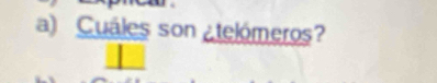 Cuáles son ¿telómeros?