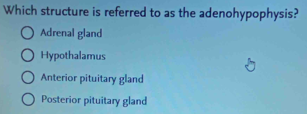 Which structure is referred to as the adenohypophysis?
Adrenal gland
Hypothalamus
Anterior pituitary gland
Posterior pituitary gland