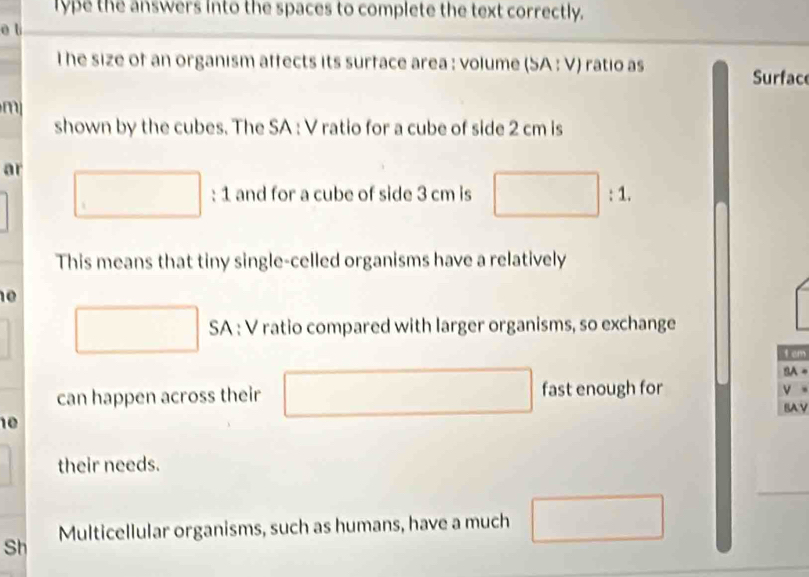 Type the answers into the spaces to complete the text correctly. 
o t 
l he size of an organism affects its surface area : volume (SA : V) ratio as Surfac 

shown by the cubes. The SA : V ratio for a cube of side 2 cm is 
ar 
: 1 and for a cube of side 3 cm is □ :1
This means that tiny single-celled organisms have a relatively 
0 
SA : V ratio compared with larger organisms, so exchange 
1 em 
can happen across their □  fast enough for SA 
v 。 
BAV 
10 
their needs. 
Sh Multicellular organisms, such as humans, have a much □