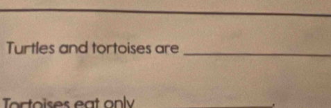 Turtles and tortoises are_ 
Tortoises eat only