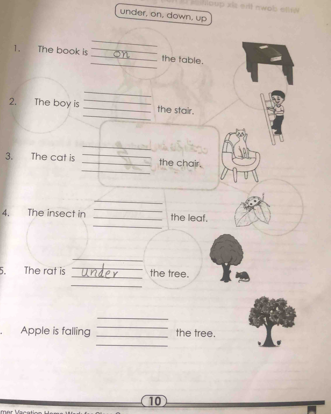 ent awob eth 
under, on, down, up 
_ 
_ 
1. The book is _the table. 
_ 
_ 
2. The boy is _the stair. 
_ 
_ 
3. The cat is _the chair. 
_ 
_ 
4. The insect in _the leaf. 
_ 
5. The rat is _the tree. 
_ 
_ 
_ 
Apple is falling _the tree. 
_ 
10