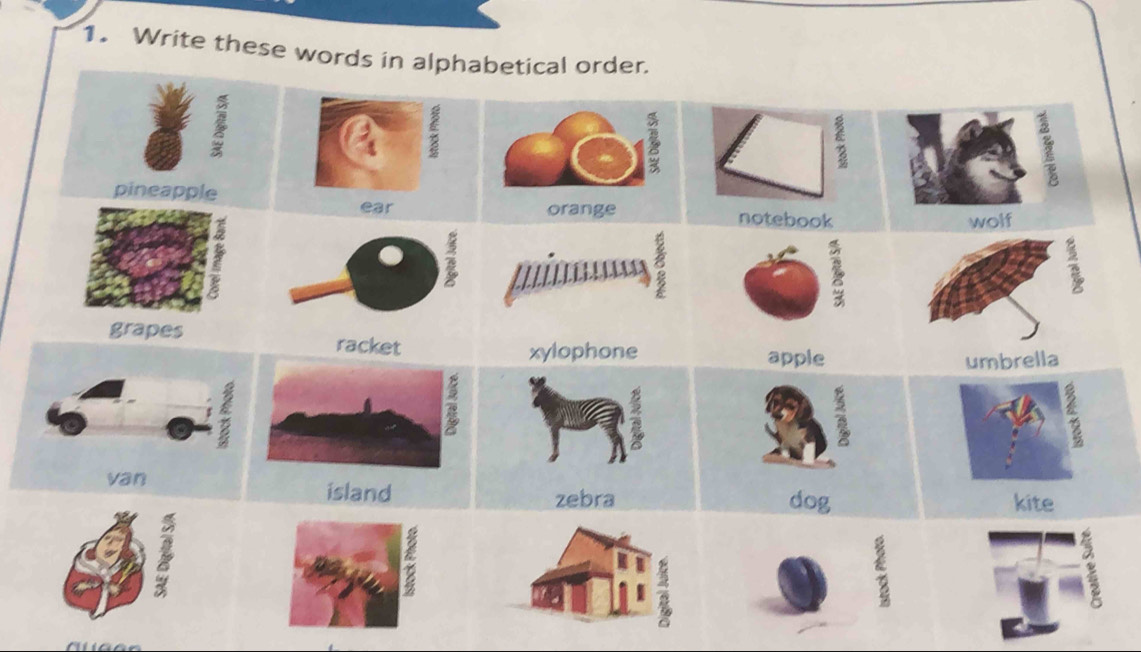 Write these words in alphabetical order. 

pineapple 
notebook 
wolf 
grapes 
apple 
umbrella 
dog kite