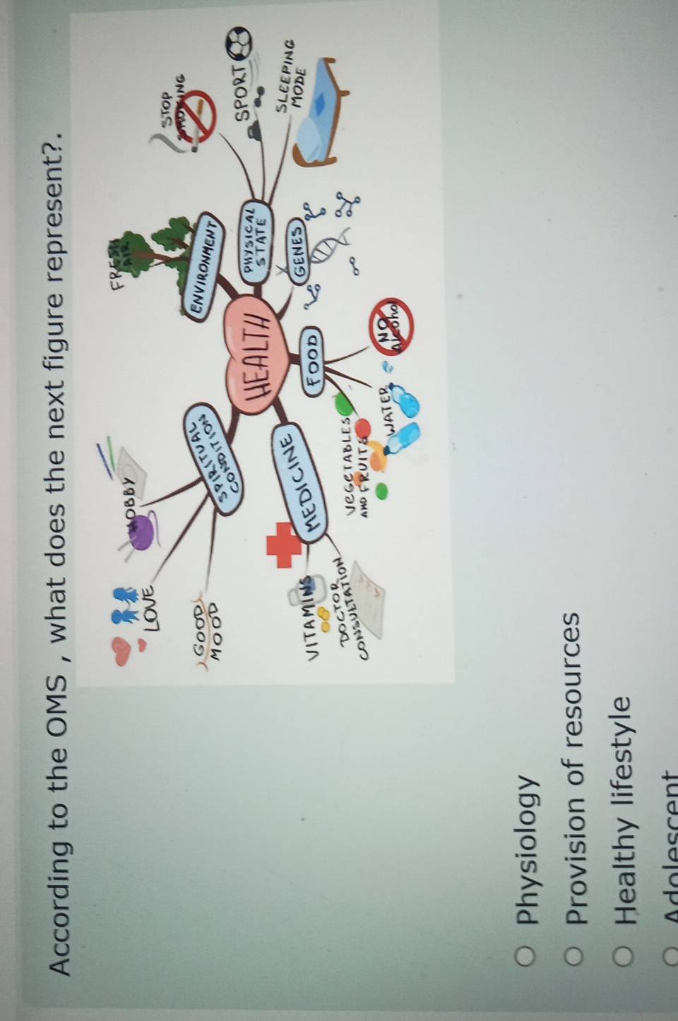 According to the OMS , what does the next figure represent?.
Physiology
Provision of resources
Healthy lifestyle
dolescent