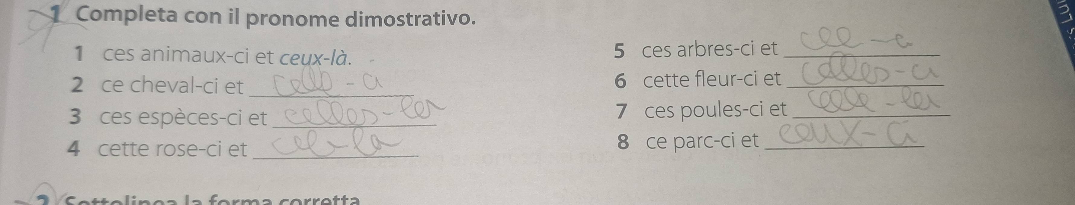 Completa con il pronome dimostrativo. 
1 ces animaux-ci et ceux-là. 5 ces arbres-ci et_ 
2 ce cheval-ci et _6 cette fleur-ci et_ 
3 ces espèces-ci et _ 7 ces poules-ci et_ 
4 cette rose-ci et _8 ce parc-ci et_ 
a