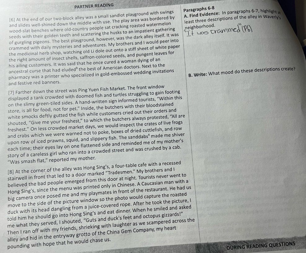 PARTNER READING
[6] At the end of our two-block alley was a small sandlot playground with swings Paragraphs 6-8
and slides well-shined down the middle with use. The play area was bordered by A. Find Evidence: In paragraphs 6-7, highlight at
wood-slat benches where old-country people sat cracking roasted watermelon least three descriptions of the alley in Waverly's
seeds with their golden teeth and scattering the husks to an impatient gathering
of gurgling pigeons. The best playground, however, was the dark alley itself. It was neighborhood.
crammed with daily mysteries and adventures. My brothers and I would peer into
the medicinal herb shop, watching old Li dole out onto a stiff sheet of white paper
the right amount of insect shells, saffron-colored seeds, and pungent leaves for
his ailing customers. It was said that he once cured a woman dying of an
ancestral curse that had elude d^3 the best of American doctors. Next to the
B. Write: What mood do these descriptions create?
pharmacy was a printer who specialized in gold-embossed wedding invitations
and festive red banners.
[7] Farther down the street was Ping Yuen Fish Market. The front window
displayed a tank crowded with doomed fish and turtles struggling to gain footing
on the slimy green-tiled sides. A hand-written sign informed tourists, “Within this
store, is all for food, not for pet." Inside, the butchers with their bloodstained
white smocks deftly gutted the fish while customers cried out their orders and
shouted, “Give me your freshest,” to which the butchers always protested, “All are
freshest.” On less crowded market days, we would inspect the crates of live frogs
and crabs which we were warned not to poke, boxes of dried cuttlefish, and row
upon row of iced prawns, squid, and slippery fish. The sanddal s^4 made me shiver
each time; their eyes lay on one flattened side and reminded me of my mother's
story of a careless girl who ran into a crowded street and was crushed by a cab.
“Was smash flat,” reported my mother.
[8] At the corner of the alley was Hong Sing's, a four-table cafe with a recessed
stairwell in front that led to a door marked “Tradesmen.” My brothers and I
believed the bad people emerged from this door at night. Tourists never went to
Hong Sing's, since the menu was printed only in Chinese. A Caucasian man with a
big camera once posed me and my playmates in front of the restaurant. He had us
move to the side of the picture window so the photo would capture the roasted
duck with its head dangling from a juice-covered rope. After he took the picture, I
told him he should go into Hong Sing's and eat dinner. When he smiled and asked
me what they served, I shouted, “Guts and duck's feet and octopus gizzards!”
Then I ran off with my friends, shrieking with laughter as we scampered across the
alley and hid in the entryway grotto of the China Gem Company, my heart
pounding with hope that he would chase us.
DURING READING QUESTIONS