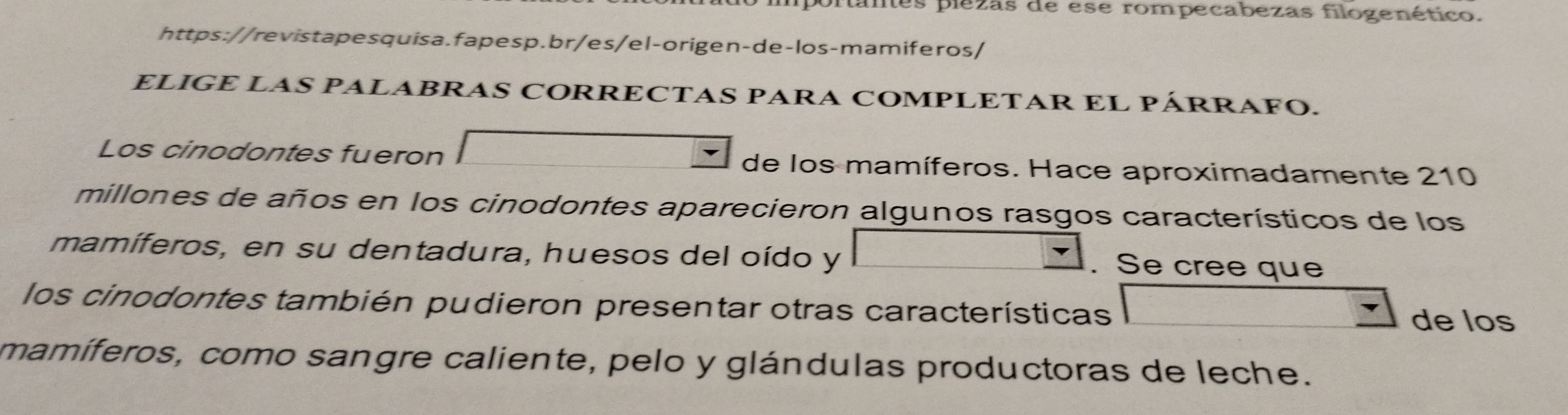 pranes plezas de ese rompecabezas filogenético. 
https://revistapesquisa.fapesp.br/es/el-origen-de-los-mamiferos/ 
ELIGE LAS PALABRAS CORRECTAS PARA COMPLETAR EL PÁRRAFO. 
Los cinodontes fueron de los mamíferos. Hace aproximadamente 210
millones de años en los cinodontes aparecieron algunos rasgos característicos de los 
mamíferos, en su dentadura, huesos del oído y . Se cree que 
los cinodontes también pudieron presentar otras características 
de los 
mamíferos, como sangre caliente, pelo y glándulas productoras de leche.