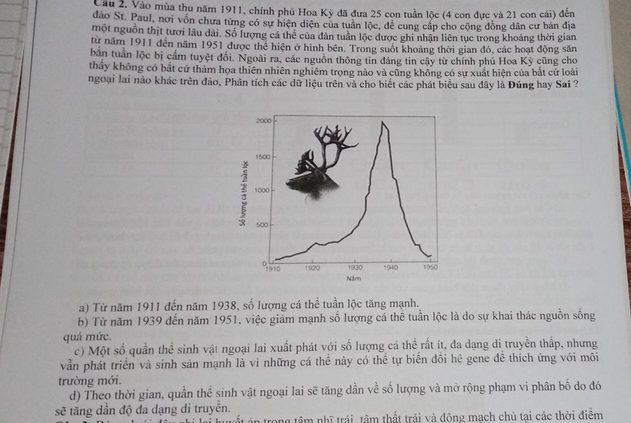 Cầu 2. Vào mùa thu năm 1911, chính phù Hoa Kỳ đã đưa 25 con tuần lộc (4 con dực và 21 con cái) đến
đảo St. Paul, nơi vốn chưa từng có sự hiện diện của tuần lộc, đễ cung cấp cho cộng đồng dân cư bản địa
một nguồn thịt tươi lâu dài. Số lượng cá thể của dàn tuần lộc được ghi nhận liên tục trong khoảng thời gian
từ năm 1911 đến năm 1951 được thể hiện ở hình bên. Trong suốt khoảng thời gian đó, các hoạt động săn
bằn tuần lộc bị cấm tuyệt đối. Ngoài ra, các nguồn thông tin đáng tin cây từ chính phủ Hoa Kỳ cũng cho
thấy không có bất cứ thảm họa thiên nhiên nghiêm trọng nào và cũng không có sự xuất hiện của bất cứ loài
ngoại lai nào khác trên đảo, Phân tích các dữ liệu trên và cho biết các phát biểu sau đây là Đúng hay Sai ?
a) Từ năm 1911 đến năm 1938, số lượng cá thể tuần lộc tăng mạnh.
b) Từ năm 1939 đến năm 1951, việc giảm mạnh số lượng cá thể tuần lộc là do sự khai thác nguồn sống
quá mức.
c) Một số quần thể sinh vật ngoại lai xuất phát với số lượng cá thể rất ít, đa dạng di truyền thấp, nhưng
vẫn phát triển và sinh sản mạnh là vì những cá thể này có thể tự biến đồi hệ gene để thích ứng với môi
trường mới.
d) Theo thời gian, quần thể sinh vật ngoại lai sẽ tăng dần về số lượng và mở rộng phạm vi phân bố do đó
sẽ tăng dần độ đa dạng di truyền.
trong tâm nhĩ trái, tâm thất trái và đông mach chủ tai các thời điểm