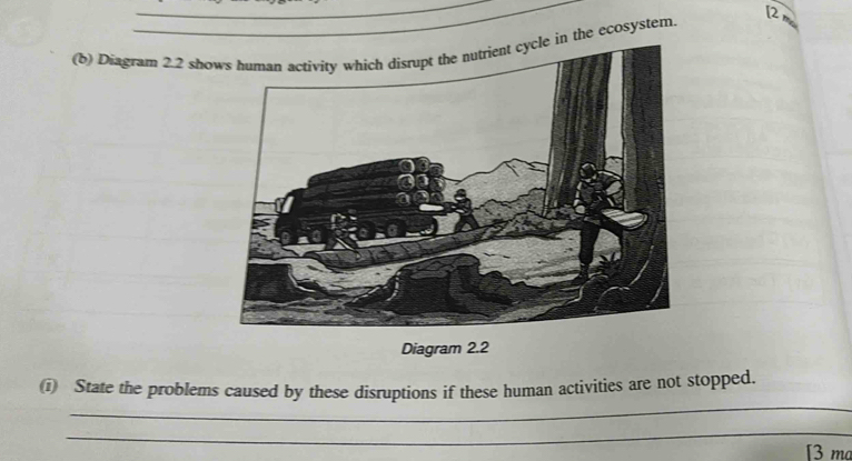 Diagram 2.2 shoin the ecosystem. [2 h 
Diagram 2.2 
_ 
(i) State the problems caused by these disruptions if these human activities are not stopped. 
_ 
[3 m