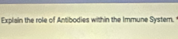 Explain the role of Antibodies within the Immune System.