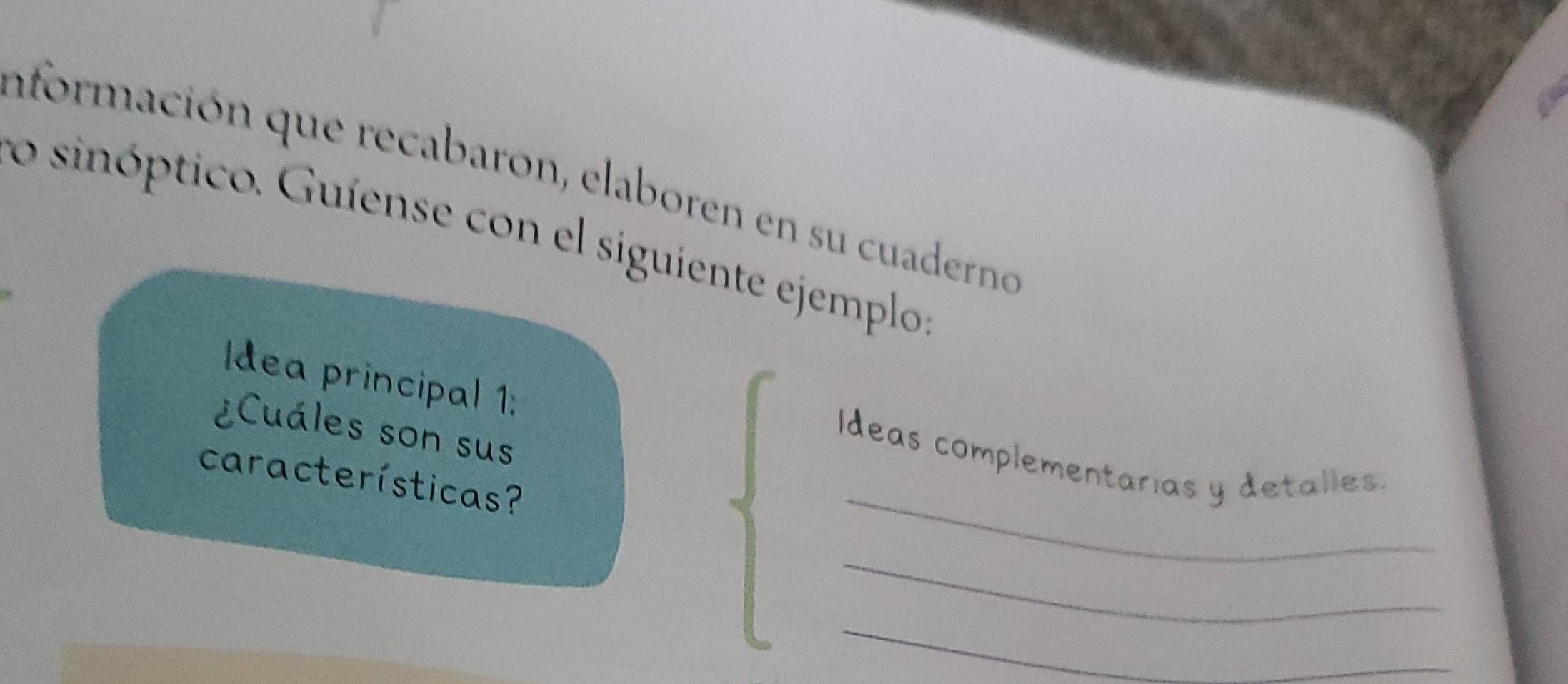 aformación que recabaron, elaboren en su cuaderno 
lo sinóptico. Guíense con el siguiente ejemplo: 
Idea principal 1: Ideas complementarias y detalles. 
¿Cuáles son sus 
_ 
características? 
_ 
_