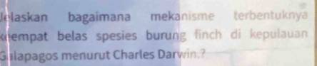 Jelaskan bagaimana mekanisme terbentuknya 
knempat belas spesies burung finch di kepulauan 
Gulapagos menurut Charles Darwin?