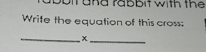 abolt and rabbit with the 
Write the equation of this cross: 
__ X