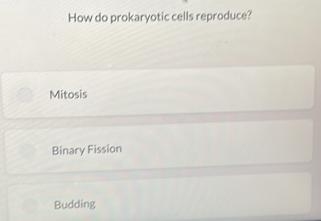 How do prokaryotic cells reproduce?
Mitosis
Binary Fission
Budding