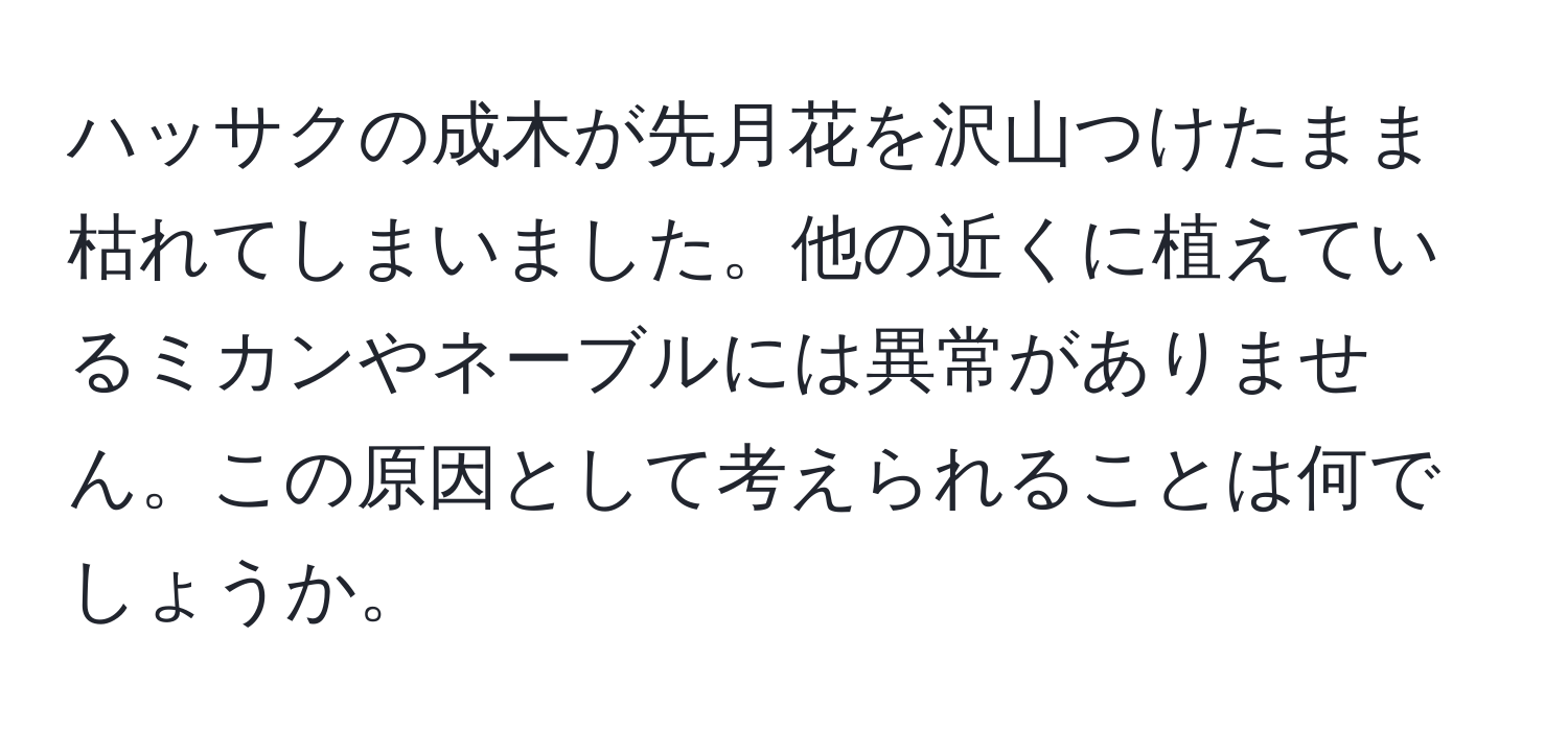 ハッサクの成木が先月花を沢山つけたまま枯れてしまいました。他の近くに植えているミカンやネーブルには異常がありません。この原因として考えられることは何でしょうか。