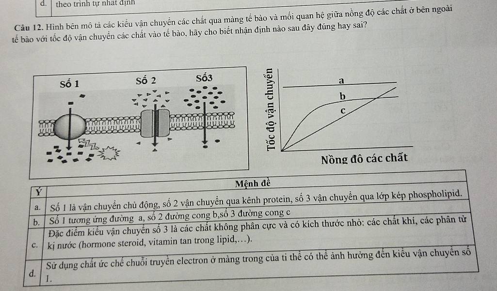 d. theo trình tự nhất định
Câu 12. Hình bên mô tả các kiểu vận chuyển các chất qua màng tế bào và mối quan hệ giữa nồng độ các chất ở bên ngoài
tế bào với tốc độ vận chuyển các chất vào tế bào, hãy cho biết nhận định nào sau đây đúng hay sai?
Ý Mệnh đề
a. Số 1 là vận chuyển chủ động, số 2 vận chuyển qua kênh protein, số 3 vận chuyển qua lớp kép phospholipid.
b Số 1 tương ứng đường a, số 2 đường cong b,số 3 đường cong c
Đặc điểm kiểu vận chuyển số 3 là các chất không phân cực và có kích thước nhỏ: các chất khí, các phân tử
C. kị nước (hormone steroid, vitamin tan trong lipid,…).
Sử dụng chất ức chế chuỗi truyền electron ở màng trong của ti thể có thể ảnh hưởng đến kiểu vận chuyển số
d. 1.