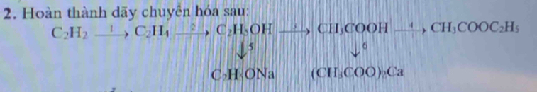 Hoàn thành dãy chuyên hóa sau:
C_2H_2to C_2H_4xrightarrow ?C_2H_5OHxrightarrow ?CH_3COOHxrightarrow 4CH_3COOC_2H_5
5 
6
C_2H_4ONa (CH_3COO)_2Ca