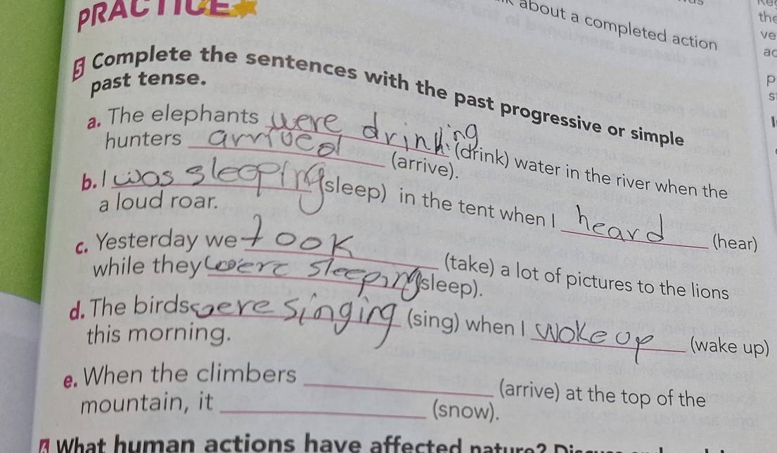 PRACTICE 
the 
about a completed action ac 
ve 
past tense. p 
Complete the sentences with the past progressive or simple 
s 
The elephants 
hunters_ 
(arrive). 
(drink) water in the river when the 
b. l_ 
(sleep) in the tent when I 
a loud roar. 
_ 
c. Yesterday we (hear) 
while they 
_ 
_(take) a lot of pictures to the lions 
(sleep). 
d. The birds